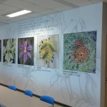 implementacion-oficina7